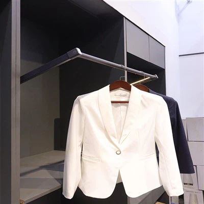 الماری میں لٹکی ہوئی چھڑی